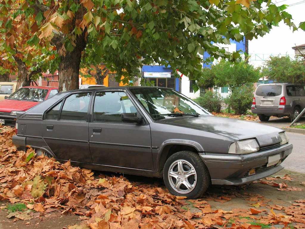 Citroen Bx 1993