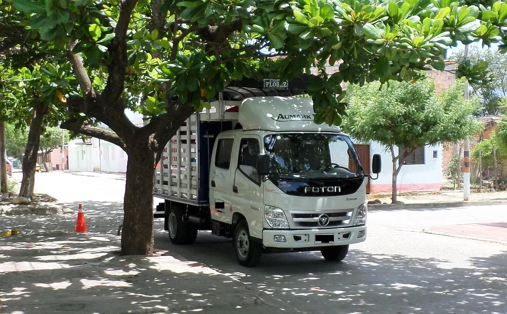 Foton