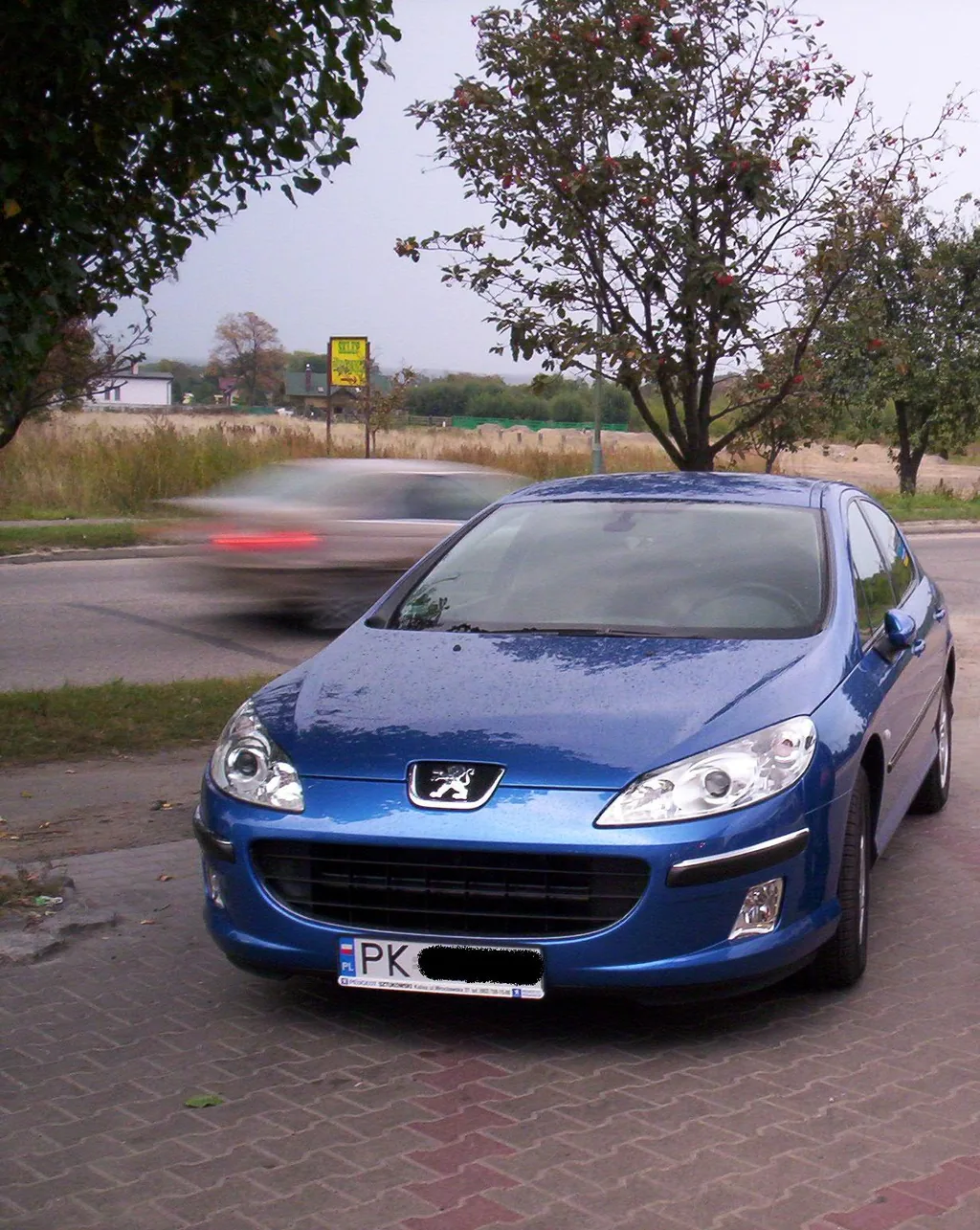 Peugeot 407 Sedan 2005