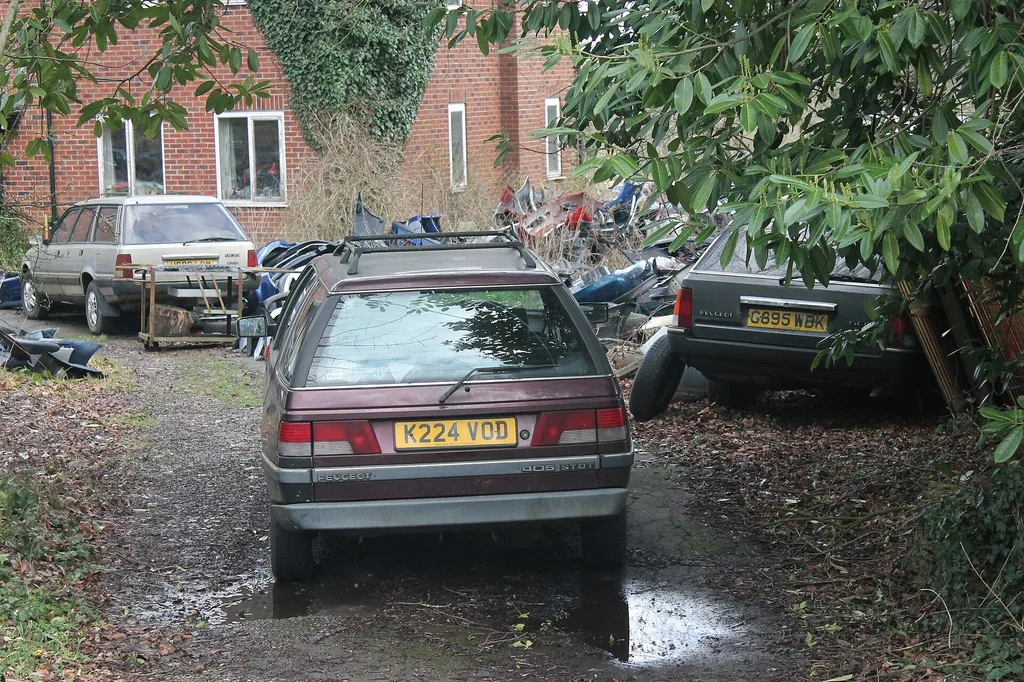 Peugeot 505 1993