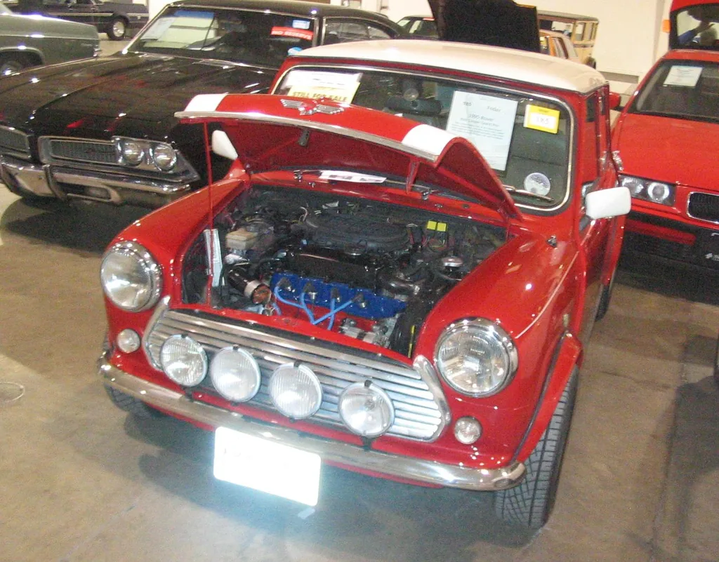 Rover Mini 1993